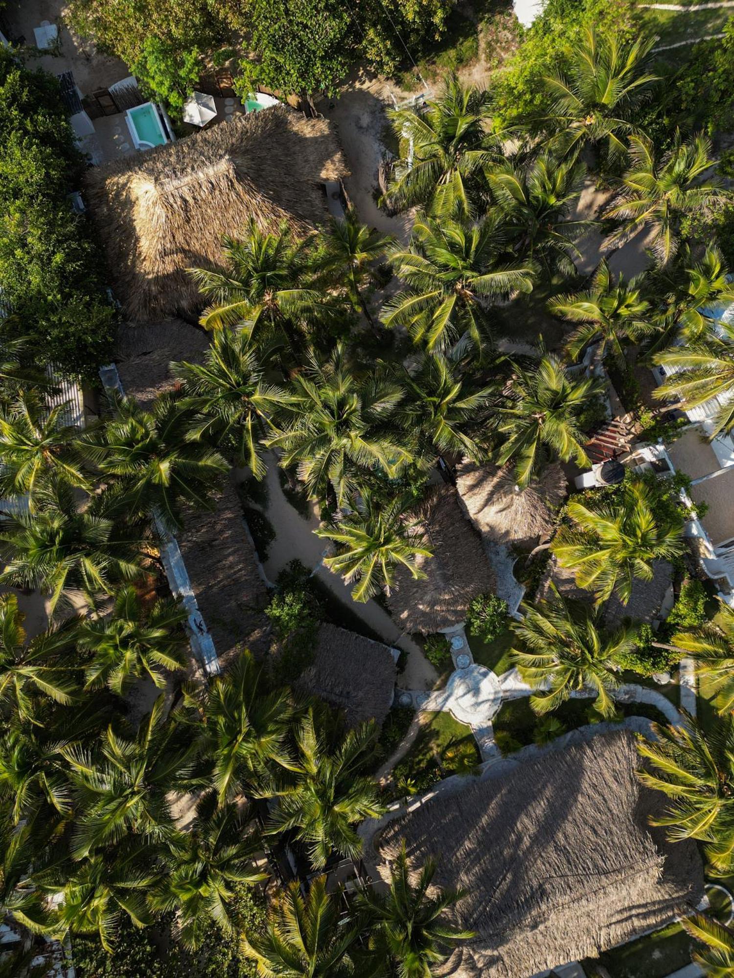 Vista Mare Beach House Канио-де-Лоро Экстерьер фото